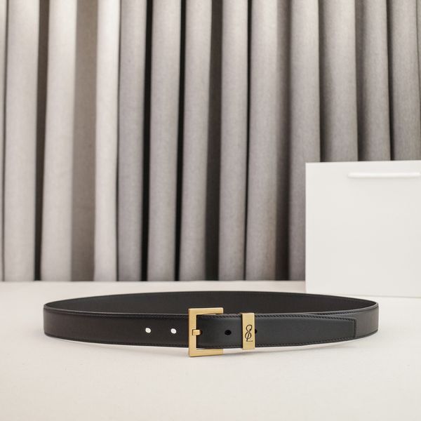 Womens Designer Belt Genuine Leather Belts for Women 2.0/3.0cm Width Leisure Needle Buckle Models Optional Lady Waistband Luxury Waist Girdle 90-115cm Length - Fashion Accessories - putianbuy